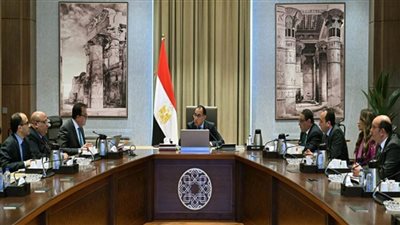 رئيس الوزراء يستعرض مقترح حزمة الحوافز الاستثمارية لقطاع الرعاية الصحة (صور)