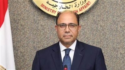 متحدث الخارجية يؤكد رفض مصر لأية محاولة لتهجير الفلسطينيين من قطاع غزة