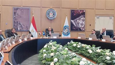 وزير المالية: الرئيس السيسي يشدد دائمًا على الاستدامة المالية للتأمين الصحي الشامل وقدرة النظام على تنمية موارده 