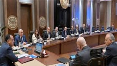 رئيس الوزراء يتابع موقف أعمال تطوير بحيرة البرلس