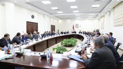 وزير التعليم العالي يرأس اجتماع مجلس الجامعات الأهلية (صور)
