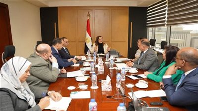وزيرة التخطيط تتابع الموقف التنفيذي للمشروع القومي لتنمية الأسرة المصرية