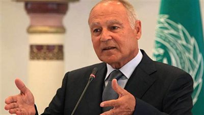 أبو الغيط: أثمن جهود مصر في إدخال المساعدات الإنسانية إلى غزة