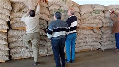 الزراعة تكثف حملات الرقابة والتفتيش على محطات ومنافذ بيع تقاوي البطاطس (صور)