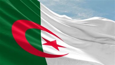 الجزائر.. سونلغاز تنتهي من تقليص شركاتها من 34 إلى 11