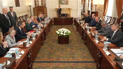 وزير الخارجية يستقبل وفدا من مجلسي الشيوخ والنواب الأمريكي