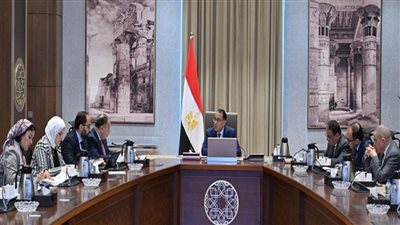 رئيس الوزراء يتابع إجراءات حوكمة المنظومة الضريبية وسرعة إنهاء المنازعات الضريبية