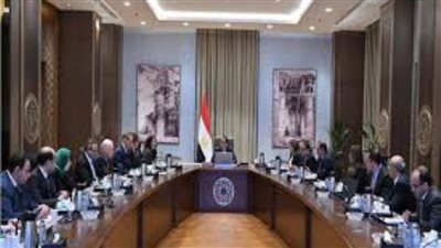 رئيس الوزراء يناقش سبل دعم حوكمة إدارة الشركات المملوكة للدولة