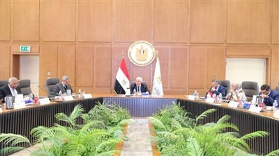 وزير التعليم العالي يرأس اجتماع مجلس المراكز والمعاهد والهيئات البحثية (صور)