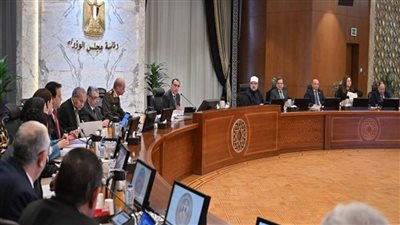 مدبولي: لجنة قانونية وفنية بمجلس الوزراء ومكتب مُحاماة عالمي لدراسة عروض استثمار تُدِرُ موارد ضخمة من النقد الأجنبي