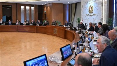 الحكومة : تخصيص قطع أراضٍ لـ 32 شركة بنظام البيع بالدولار