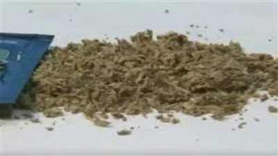 حبس عاطلين لحيازتهما 1.4 كيلو حشيش في المنيرة الغربية