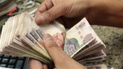 دعم المواطن.. الحكومة: لا علاقة بين زيادة الأجور والمعاشات وتعويم الجنيه
