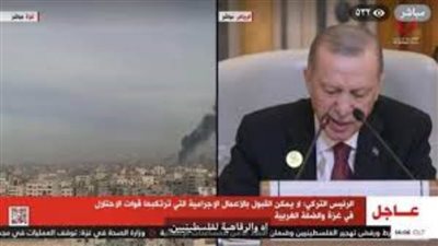 أردوغان: لا نقبل تهجير الفلسطينيين وتصفية القضية.. ونقدر موقف مصر
