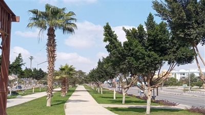 مسئولو أجهزة المدن الجديدة يتابعون مشروعات رفع الكفاءة والتطوير بعدة مناطق (صور)