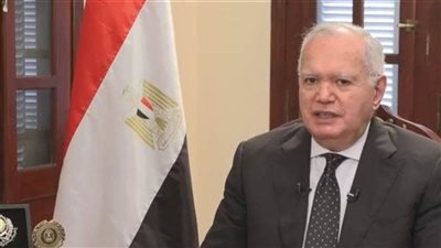 العرابي: مصر تعيش في حدود من نار بإقليم مضطرب وسط عالم أهوج