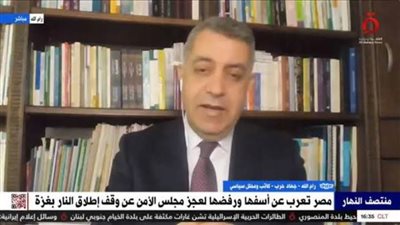 محلل سياسي: الاحتلال ليس له الحق في الدفاع عن النفس وفقا لقرارات الأمم المتحدة