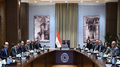 الحكومة تدرس مقترحا لشركة إيطالية لإنشاء مجمع صناعي متكامل لمنتجات الحديد والصلب المتطورة