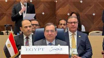 حضور مصري فاعل في القمة السابعة لمنتدى الدول المصدرة للغاز بالجزائر