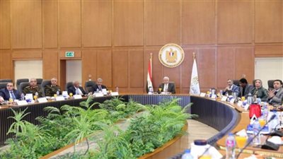 وزير التعليم العالي يرأس اجتماع مجلس المراكز والمعاهد البحثية (صور)