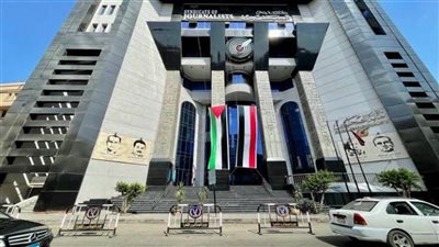 نقابة الصحفيين تطالب مدير مكتب «BBC» بوقف التحقيق مع سالي نبيل