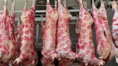 زيادة في الإنتاج الحيواني.. الزراعة تكشف أھمية الإفراج عن البضائع