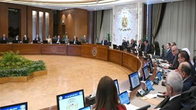 رئيس الوزراء: نواصل الجهود لاستكمال مسار الإصلاح الاقتصادي بالتنسيق بين الحكومة والبنك المركزي (صور)