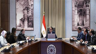 رئيس الوزراء يتابع مع رئيس هيئة الدواء المصرية عددا من ملفات العمل (صور)