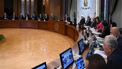 الوزراء: تكليف فرق عمل بالنزول للأسواق والتأكد من خفض الأسعار (صور)