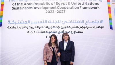 وزارة التعاون الدولي تكشف عن نتائج تنفيذ إطار الشراكة مع الأمم المتحدة خلال 2023 (إنفوجراف)