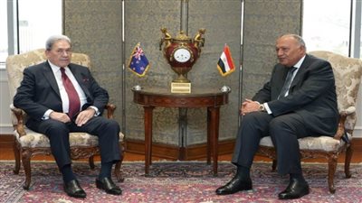 سامح شكري يستقبل وزير خارجية نيوزيلندا (صور)