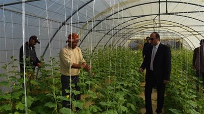 رئيس جامعة العريش يتفقد المزرعة الإنتاجية بالجامعة (صور)