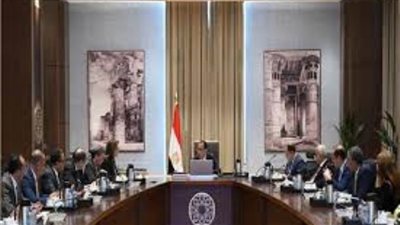 رئيس الوزراء يستعرض نتائج تقرير منظمة التعاون والتنمية الاقتصادية عن مصر