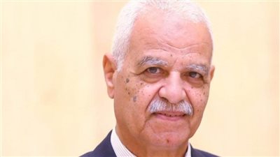 الدويري: مصر تبذل كل الجهود لاحتواء توترات المنطقة ووقف إطلاق النار في غزة