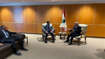 وزير الشباب والرياضة يلتقي رئيس مجلس النواب اللبناني (صور)