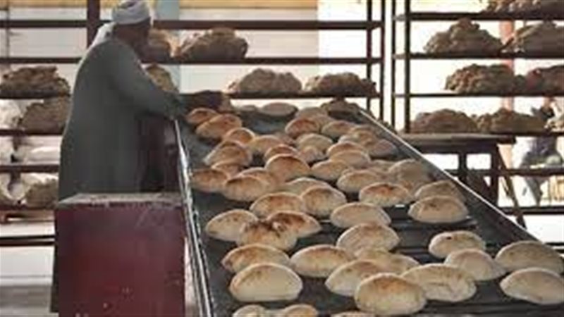 صورة أرشفية