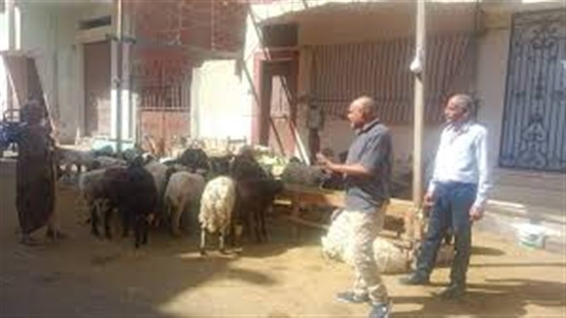 صورة أرشفية