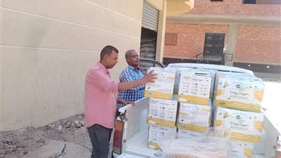 تموين الأقصر يضبط نصف طن مقرمشات مجهولة المصدر