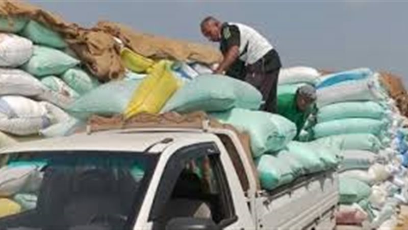 صورة أرشفية