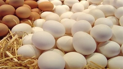 طرح كميات من البيض على الجمعيات الاستهلاكية ومنافذ البيع بسوهاج