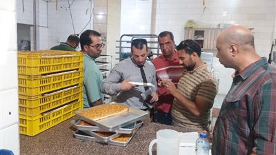 ضبط مواد غذائية منتهية الصلاحية في حملات تفتيشية بسوهاج