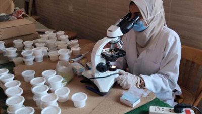 فحص 373 ألف طالب ضمن مبادرة القضاء على البلهارسيا والطفيليات المعوية بسوهاج