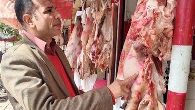 مدير عام الطب البيطري يداهم محلات بيع اللحوم بمدينة سوهاج 
