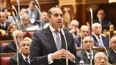وزير الشئون النيابية: لا يوجد معتقلون في مصر.. والمحاكمات أمام القاضي الطبيعي