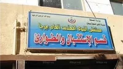 بسبب لهو الأطفال.. إصابة 3 سيدات في مشاجرة بسوهاج