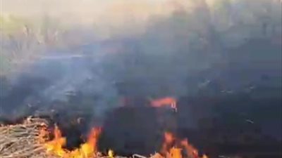 الحماية المدنية بقنا تكثف جهودها في السيطرة على حريق داخل زراعات القصب بالمراشدة