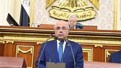 رئيس تجارية القليوبية: زيادة المناطق الحرة يعزز من مكانة مصر التجارية ويشجع التصدير