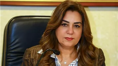 وزيرة التنمية المحلية تقيل سكرتير عام محافظة سوهاج بعد المشادة مع نائب المحافظ