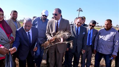 محافظ سوهاج يتفقد حصاد محصول القمح بأحد الحقول ويتابع توريد الأقماح