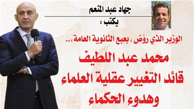 جهاد عبد المنعم يكتب : الوزير الذي روّض 